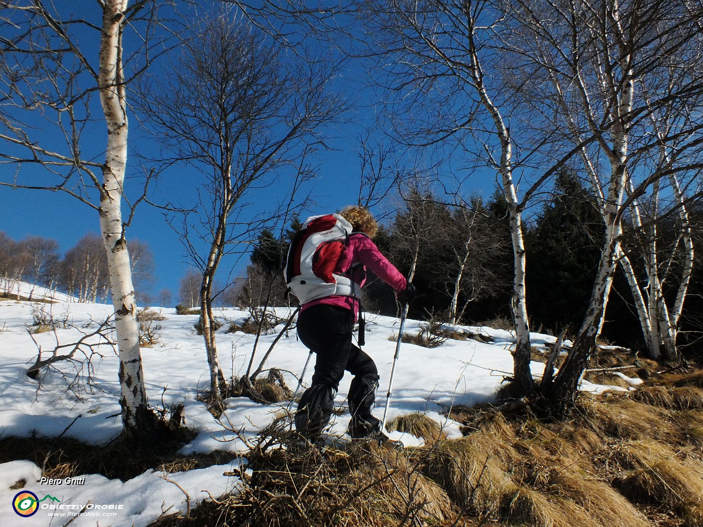 20 Costretti fuori sentiero per accumuli di neve nella pineta .JPG